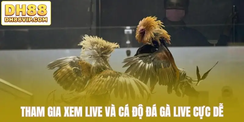 Tham gia xem live và cá độ đá gà live cực dễ